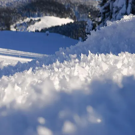 Apartament Gasteg Living